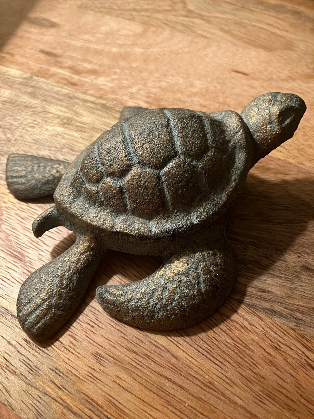 Sea turtle trinket holder